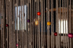 IMG_0314