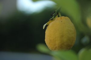 IMG_5330